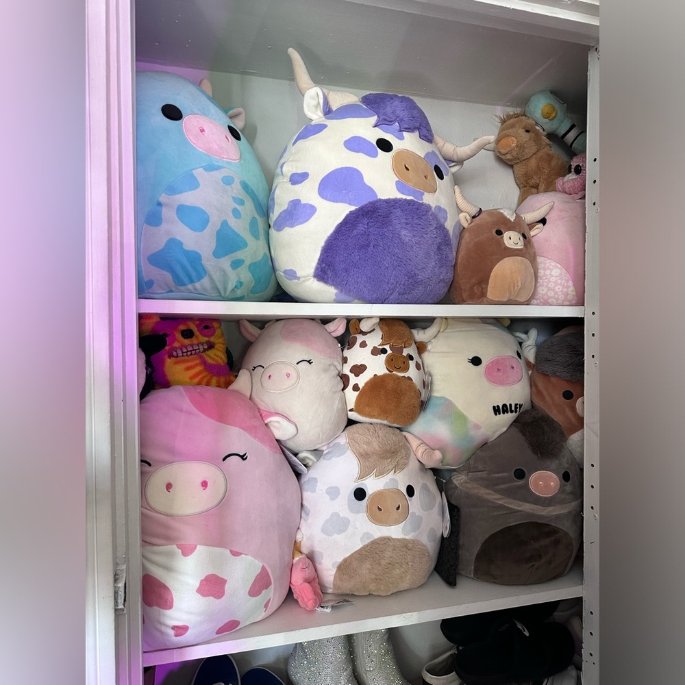 Assorted squishmallows, mainly farm animals or cows. Offers below